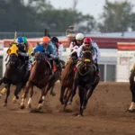 Consejos Para Apostar En Carreras De Caballos Con Grandes Favoritos Y Underdogs